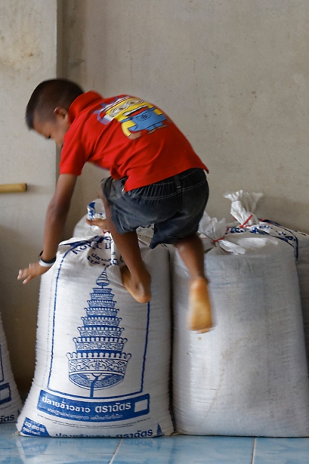 Famille et amis-MAI17-028